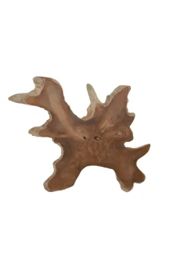 Boomstal schijf wortel teak schijf