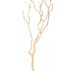 Decoratieve boom