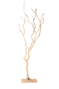 Decoratieve boom