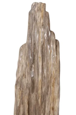 Grote versteend houten stronk – Kunstwerk