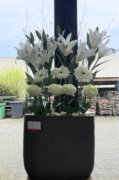 Kunst Lelie