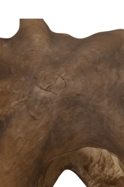Unieke Wortel Teak Salontafel – Stervorm