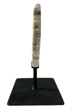 Versteend hout op statief